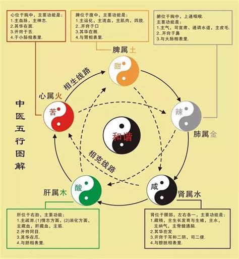 維五行|维字的五行属性